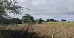 Land for Sale in Dire Dawa City