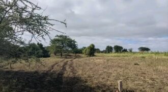 Land for Sale in Dire Dawa City