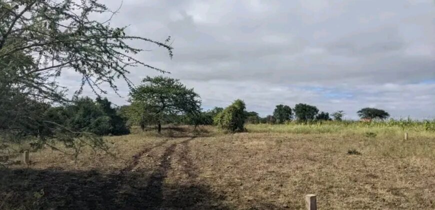 Land for Sale in Dire Dawa City