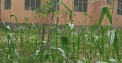 Stand Alone House for Rent in Jigjiga (Garab Case Area)