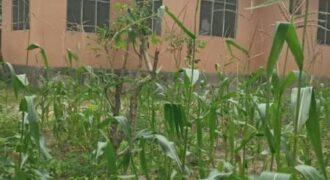 Stand Alone House for Rent in Jigjiga (Garab Case Area)