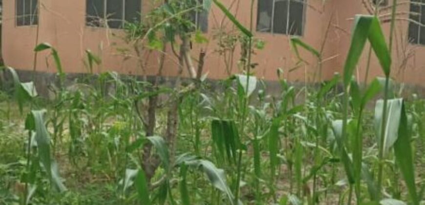 Stand Alone House for Rent in Jigjiga (Garab Case Area)